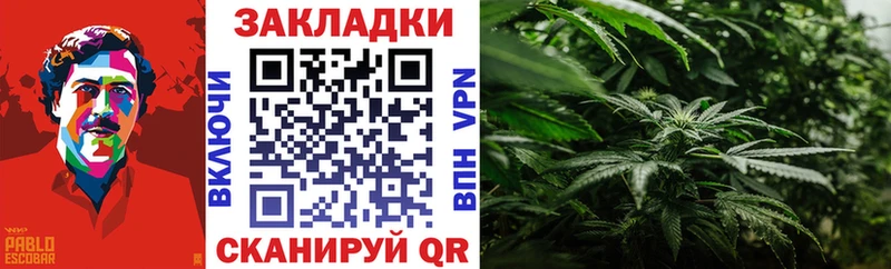 Какие есть наркотики Сосногорск Codein Псилоцибиновые грибы Конопля Кокаин ГАШ Альфа ПВП