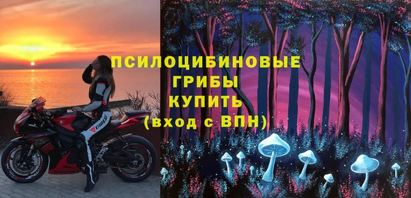 Альфа ПВП Верея