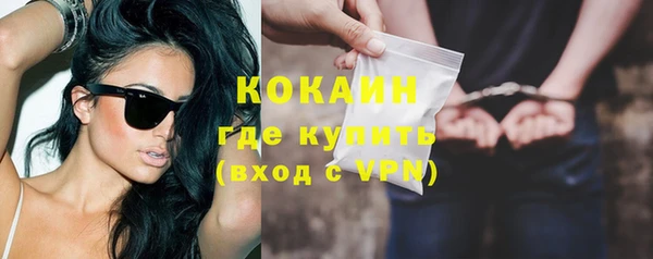 ГАЛЛЮЦИНОГЕННЫЕ ГРИБЫ Тайга