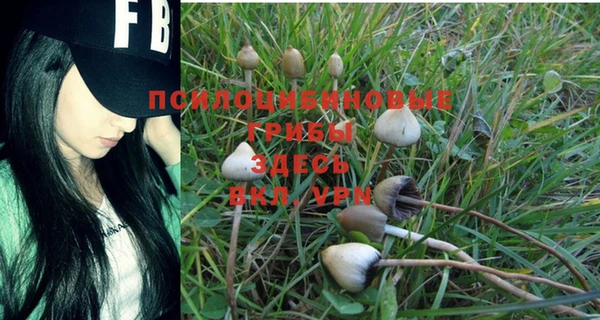 2c-b Бугульма