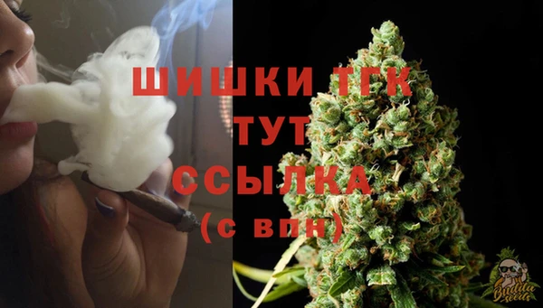 COCAINE Бородино