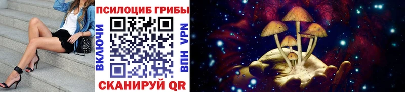 ссылка на мегу ТОР Сосногорск Галлюциногенные грибы ЛСД